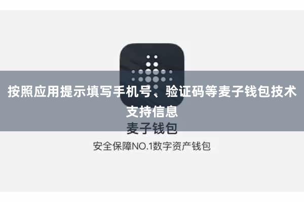 按照应用提示填写手机号、验证码等麦子钱包技术支持信息