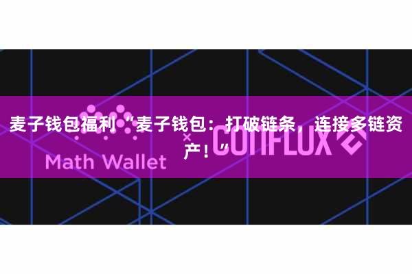 麦子钱包福利 “麦子钱包：打破链条，连接多链资产！”