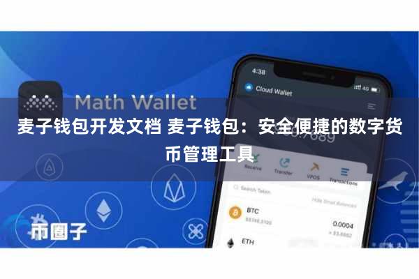 麦子钱包开发文档 麦子钱包：安全便捷的数字货币管理工具