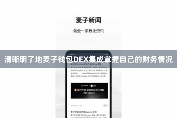 清晰明了地麦子钱包DEX集成掌握自己的财务情况