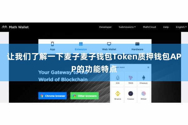 让我们了解一下麦子麦子钱包Token质押钱包APP的功能特点