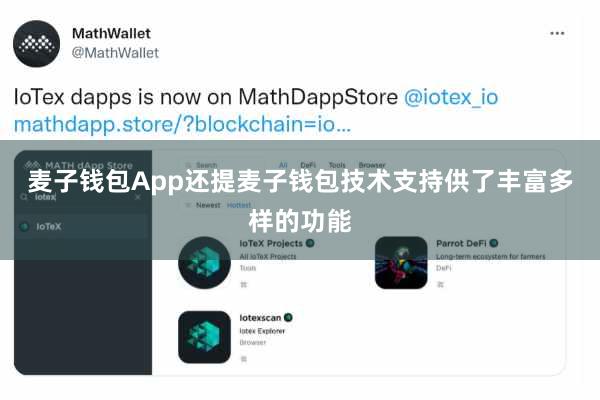 麦子钱包App还提麦子钱包技术支持供了丰富多样的功能