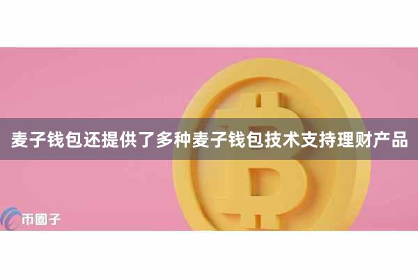 麦子钱包还提供了多种麦子钱包技术支持理财产品