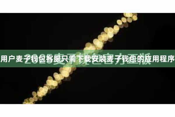 用户麦子钱包客服只需下载安装麦子钱包的应用程序