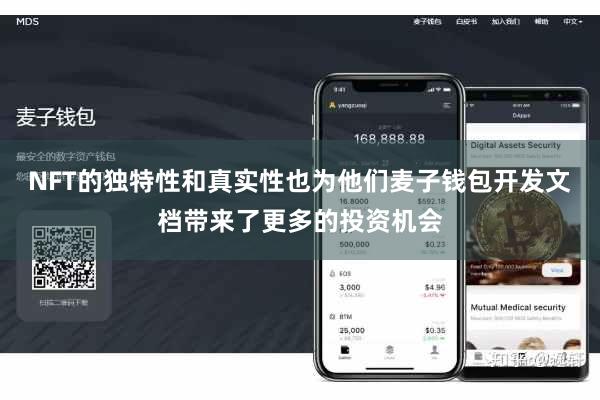NFT的独特性和真实性也为他们麦子钱包开发文档带来了更多的投资机会