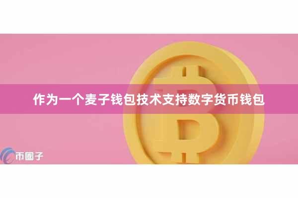 作为一个麦子钱包技术支持数字货币钱包