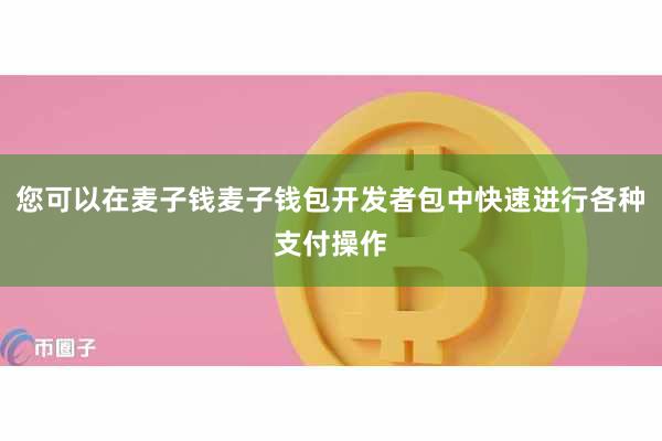您可以在麦子钱麦子钱包开发者包中快速进行各种支付操作