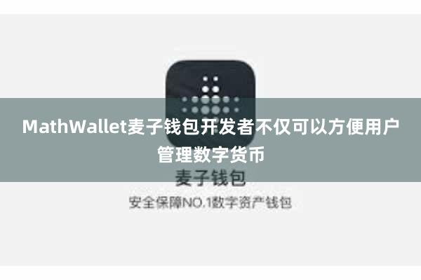 MathWallet麦子钱包开发者不仅可以方便用户管理数字货币