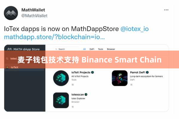 麦子钱包技术支持 Binance Smart Chain