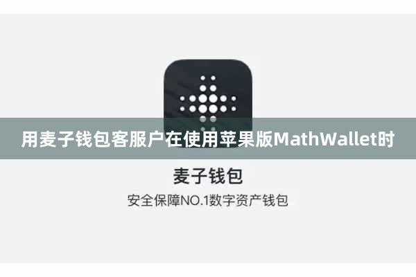 用麦子钱包客服户在使用苹果版MathWallet时