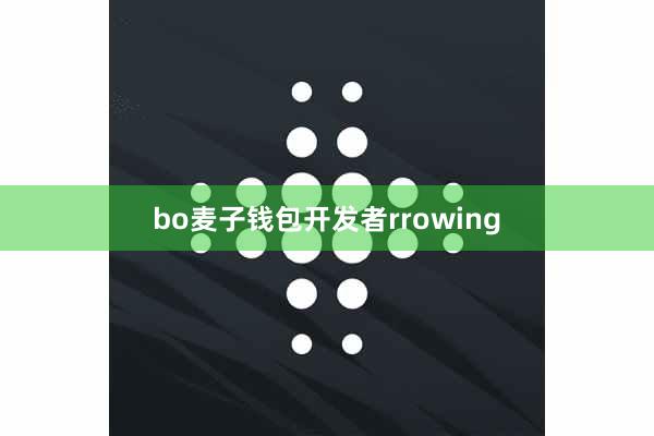 bo麦子钱包开发者rrowing