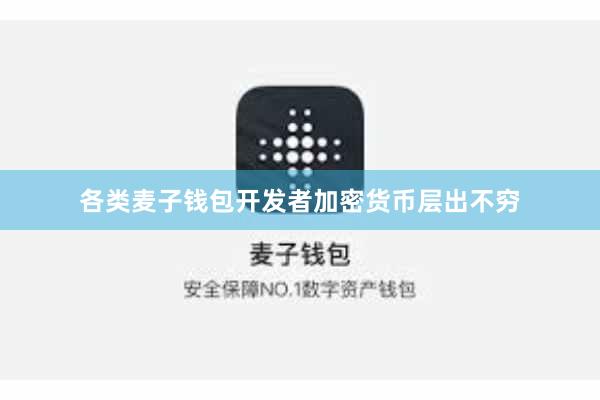 各类麦子钱包开发者加密货币层出不穷