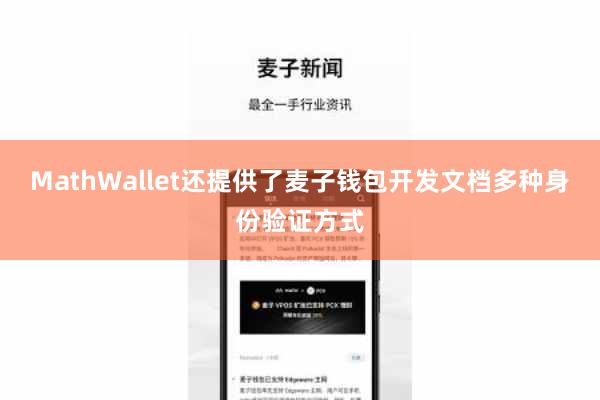 MathWallet还提供了麦子钱包开发文档多种身份验证方式