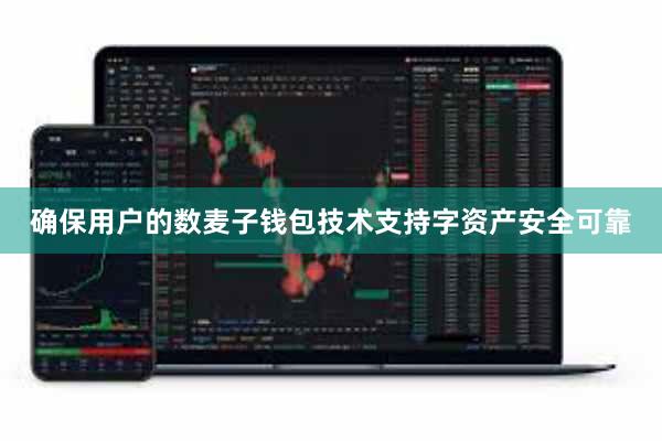 确保用户的数麦子钱包技术支持字资产安全可靠