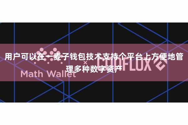 用户可以在一麦子钱包技术支持个平台上方便地管理多种数字资产